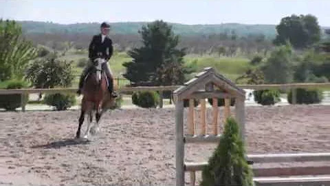 Video of BOB DES BAUMEISTER ridden by SUSAN NESS f...