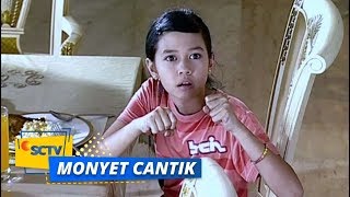 Highlight Monyet Cantik - Episode 02