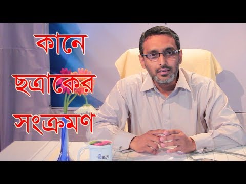 ভিডিও: পেঙ্গুইনদের কি কান আছে?