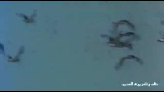 فاصل موسيقي قديم من التلفزيون السعودي