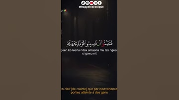 قارئ السنغالي / شيخ محمد الهادي توري الفاسي ❤️🥰
