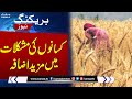 Breaking news bad news for the farmers  samaa tv