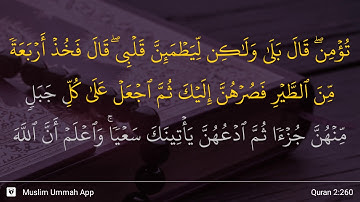 سوره بقره آیه 260