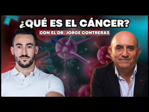 ¿Qué es el