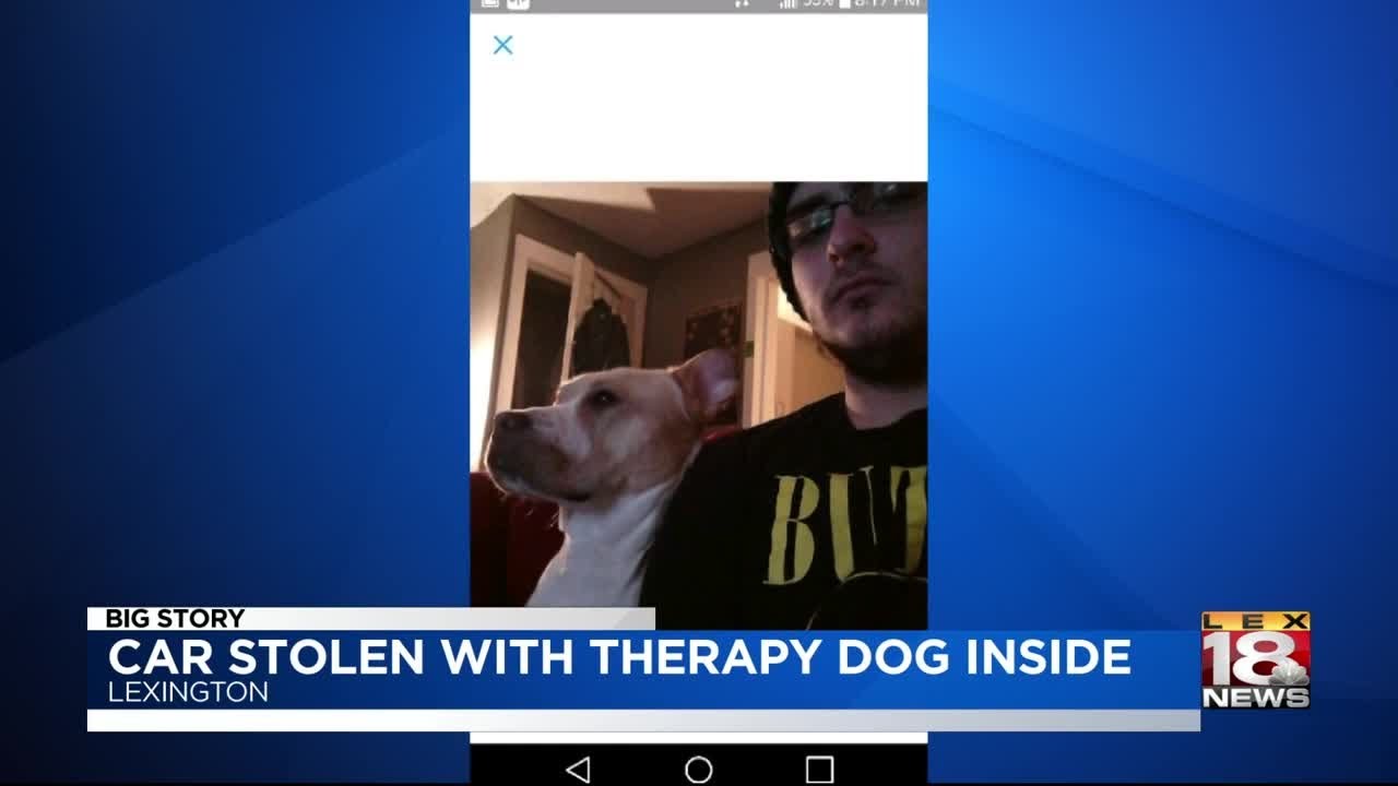 Car Stolen With Therapy Dog Inside - YouTube