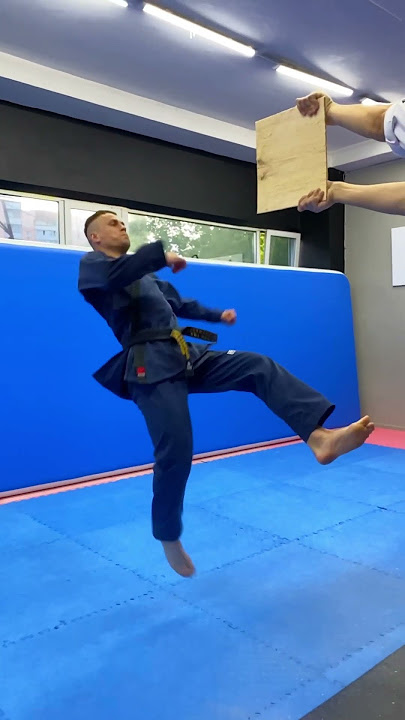 TAEKWONDO KICKS / TAEKWONDO TRICKS
