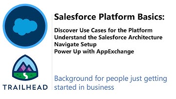 Salesforce Platform Basics | Trailhead | Business POV
