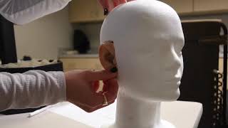Take a Tour of the Osborne College of Audiology (OCA)