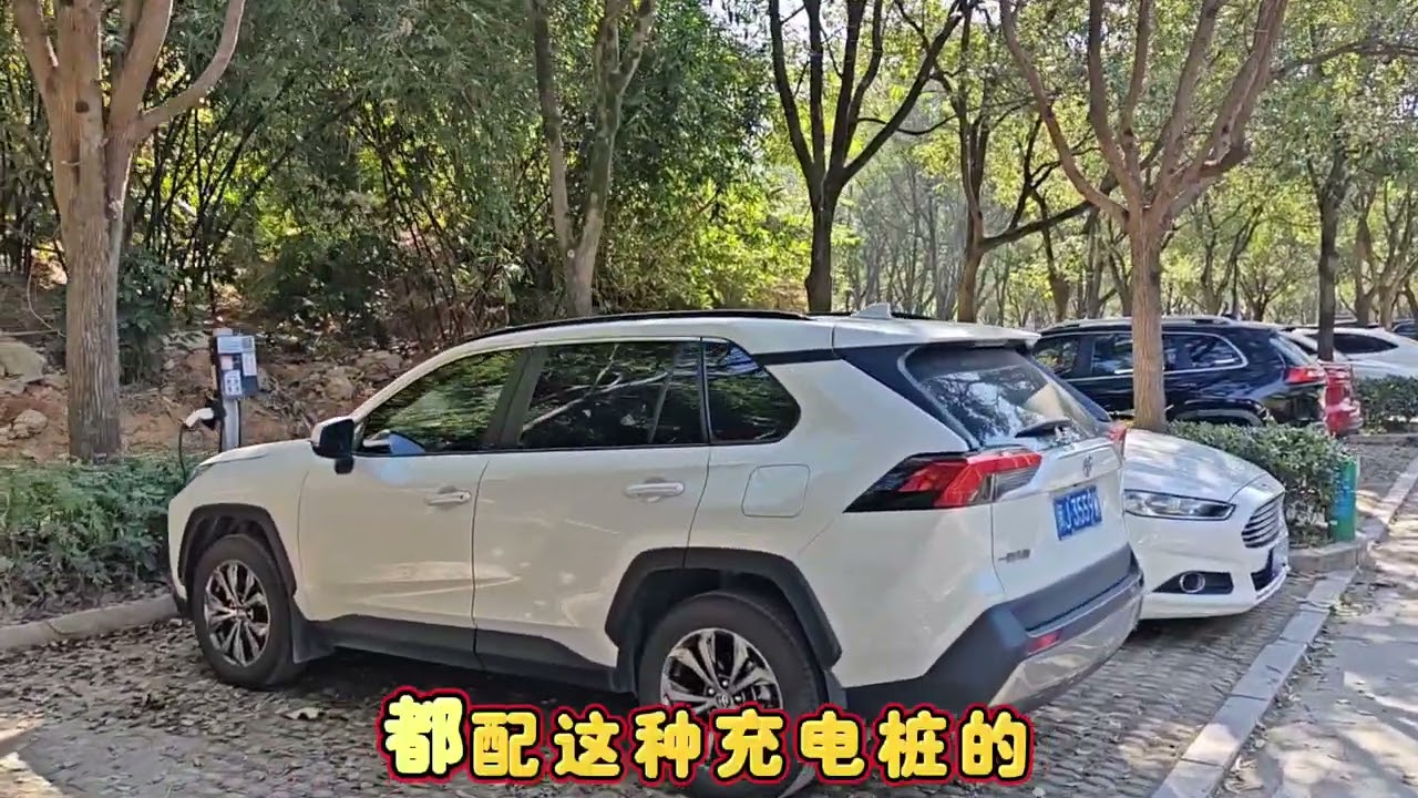  驻车宁德市大门山公园停车场，惊叹几乎每个停车位都有充电桩！