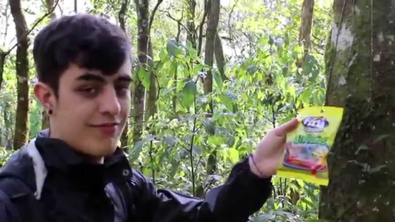 Sobrevivendo com Moose Oven - YouTube