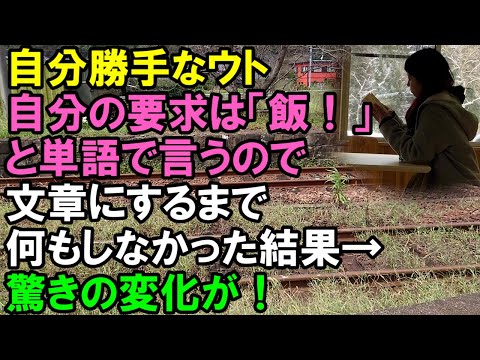 【スカッと】自分勝手なウト。自分の要求は「飯！」「風呂！」と単語でしか言わないので、文章で言うまで何もしなかった結果→驚きの変化が！（スカッと桜）