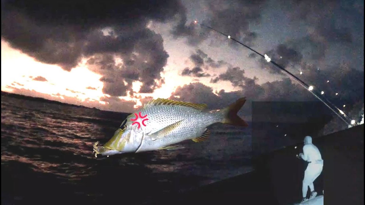 夜釣り ２日間 タマン ハマフエフキ 釣り 現地でカニを捕って餌にする Spangled Emperor Fishing Night Fishing In Okinawa 釣り 59 Youtube