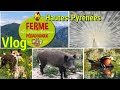 Visite de la ferme pédagogique : « Les Jours Heureux » à Saléchan dans les Hautes-Pyrénées (65) VLOG