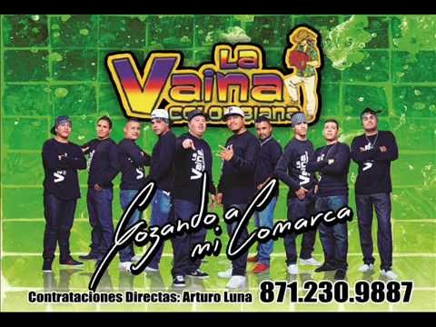 la vaina colombiana popurri pa los gozones