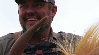 The Golden Beast - an African airgun safari