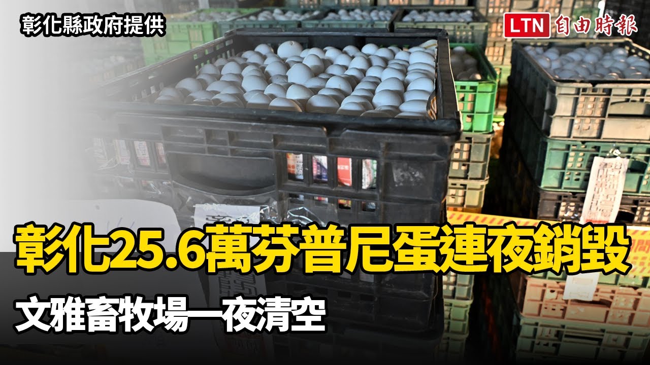 檢調盯場！彰化25.6萬芬普尼蛋連夜銷毀 文雅畜牧場一夜清空
