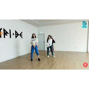 Tri.be on BTS's IDOL