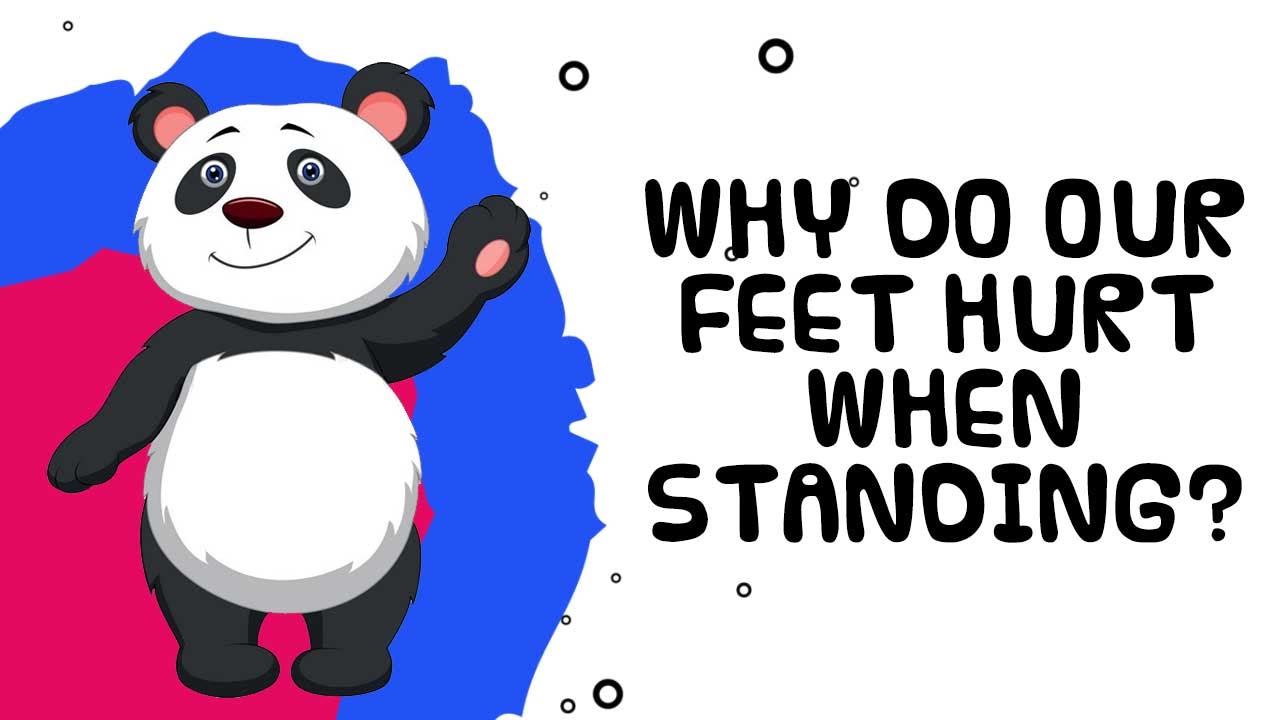 Interesting Facts about Human Body Why do your Feet Hurt when