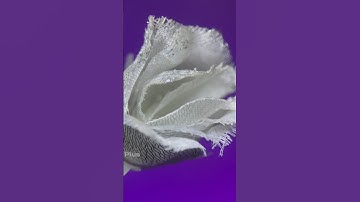 I Tried Deep Frying a Rose... You Won