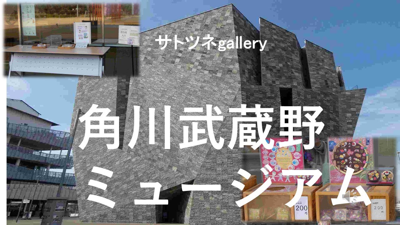 「角川武蔵野ミュージアム」です。内容は図書館の建物と近隣の飲食店（ファミマ）などです。