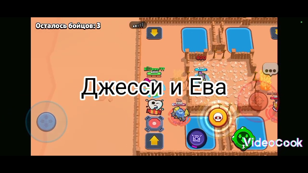 Битва питомцев🐱🐶 - YouTube