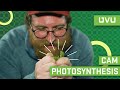 CAM Photosynthesis Simplified