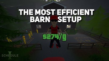 Schedule 1 - The Cleanest And Most Efficient Barn Setup Guide (Barn) {AFTER PATCH}