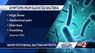 Brevard County swimmers warned of increased bacteria levels in the water