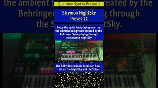Strymon NightSky Preset No 12 - "Magnetic Field"