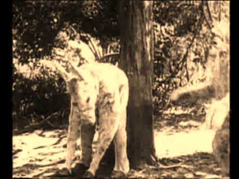 Mississippi Mud 1927-with Irene Taylor