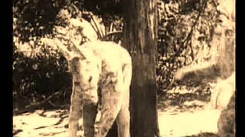 Mississippi Mud 1927-with Irene Taylor