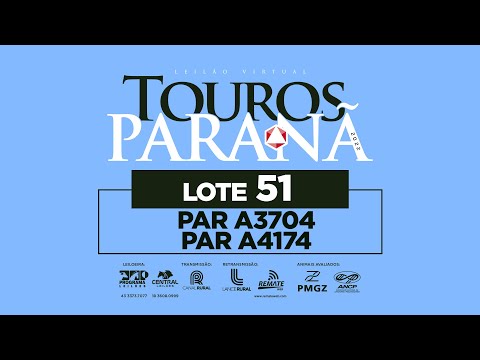 LOTE 51 PAR A4174 PAR A3704