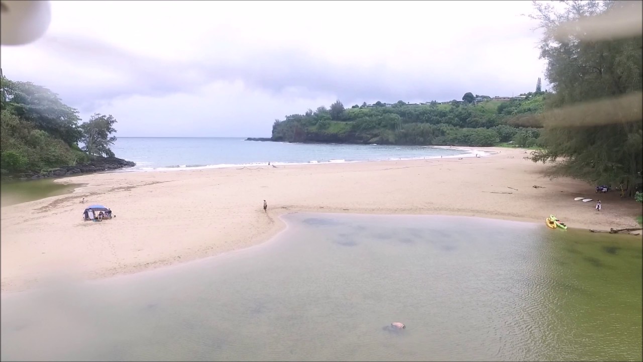 Kalihiwai Beach Kauai 4K Drone Aerial Footage Kilauea, Hawaii - YouTube