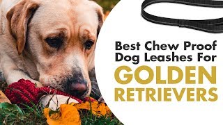 best chew proof dog leash