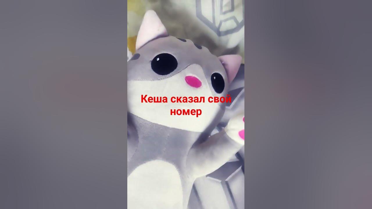 Кеша из мимимишек - YouTube