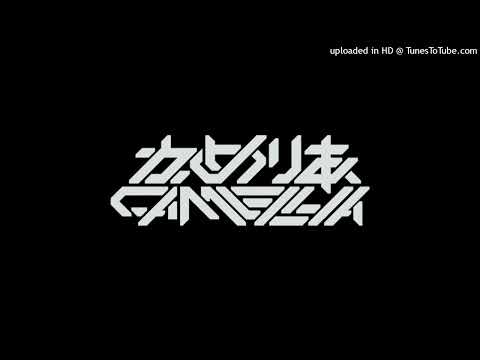 Camellia Flash Me Back