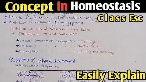 Introduction Of Homeostasis Fully Explained In Urdu Hindi | Class 12