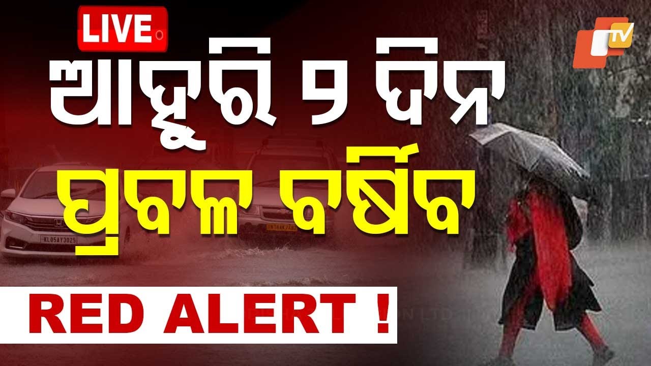 Live Rain Alert | ପ୍ରବଳ ବର୍ଷା ! | Heavy Rain Fall | Weather Update | Odia News