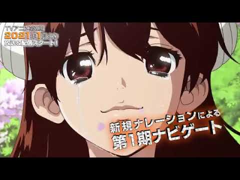 Dr.Stone: Stone wars Special Pv