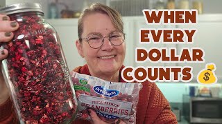 Download Lagu When Money’s Tight, Dehydrating These 99¢ Cranberries Makes a Real Difference MP3