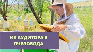 Выпуск #10 | Как выглядит племенная пасека девушки-пчеловода в Шымкенте?