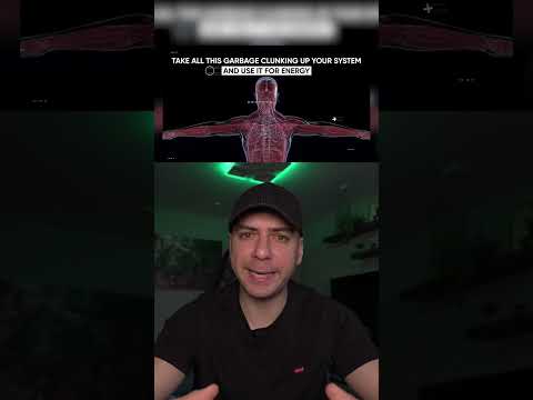 Аутофагия, как стареть медленней?