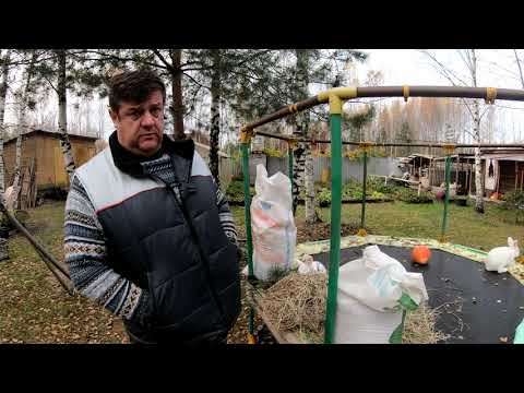 чем кормить кроликов основные правила