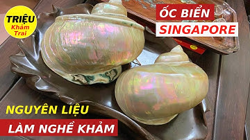 90% Không Biết Về Nguyên liệu làm nghề khảm trai ốc ( Kể Cả Bạn ) | Triệu Khảm Trai Triệu Khảm Trai