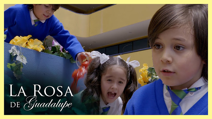 Solecito es la becada y sus compañeros siempre la molestan | La rosa de Guadalupe 1/4 |  Fiesta...