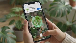     Plant Identifier App 🌱 Instantly Identify Plants with AI | LeafLens