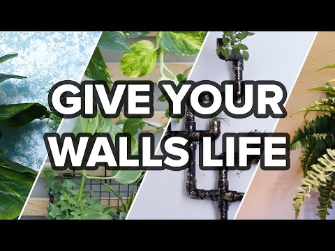 Video: Geef muren op verschillende manieren