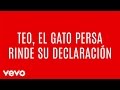 José Madero - Teo, El Gato Persa Rinde Su Declaración