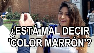 ¿Está mal decir "persona color marrón"? | PUCP Universidad Católica