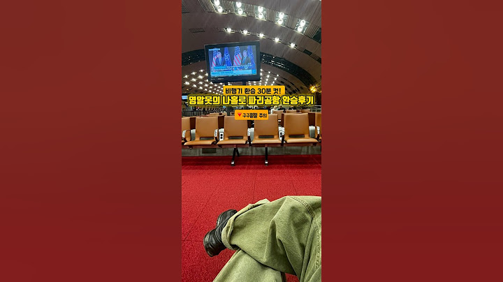 1개국어하는 한국인의 30분만에 파리공항 환승 썰
